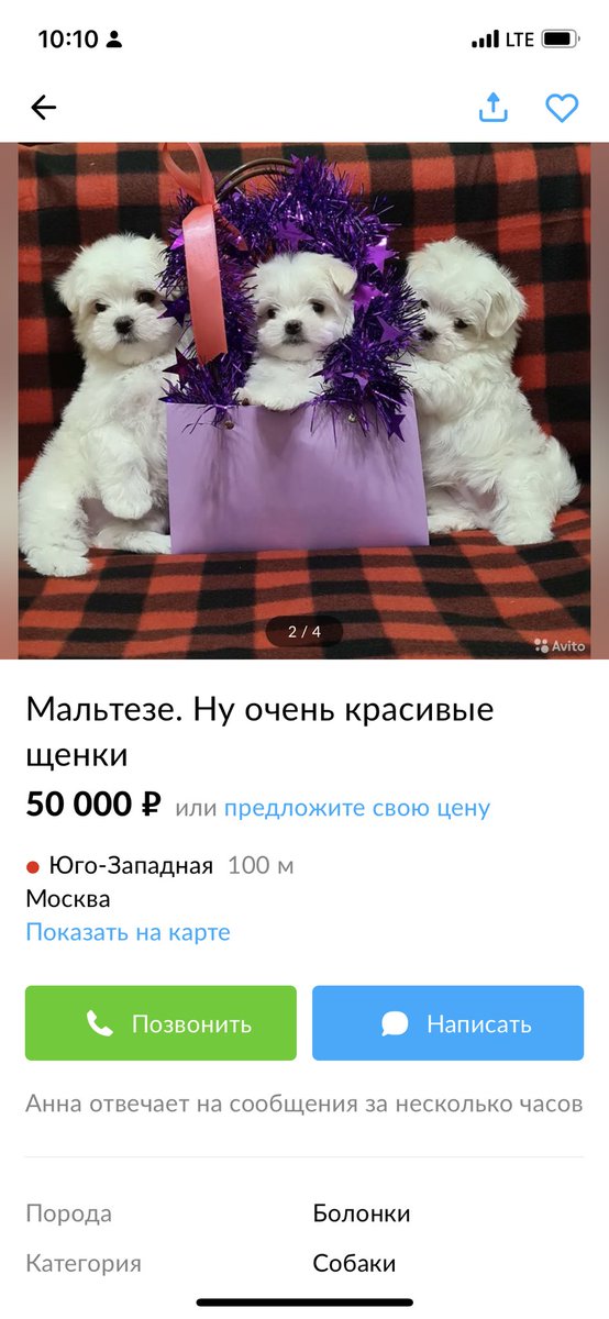 Не могу какие сладкие