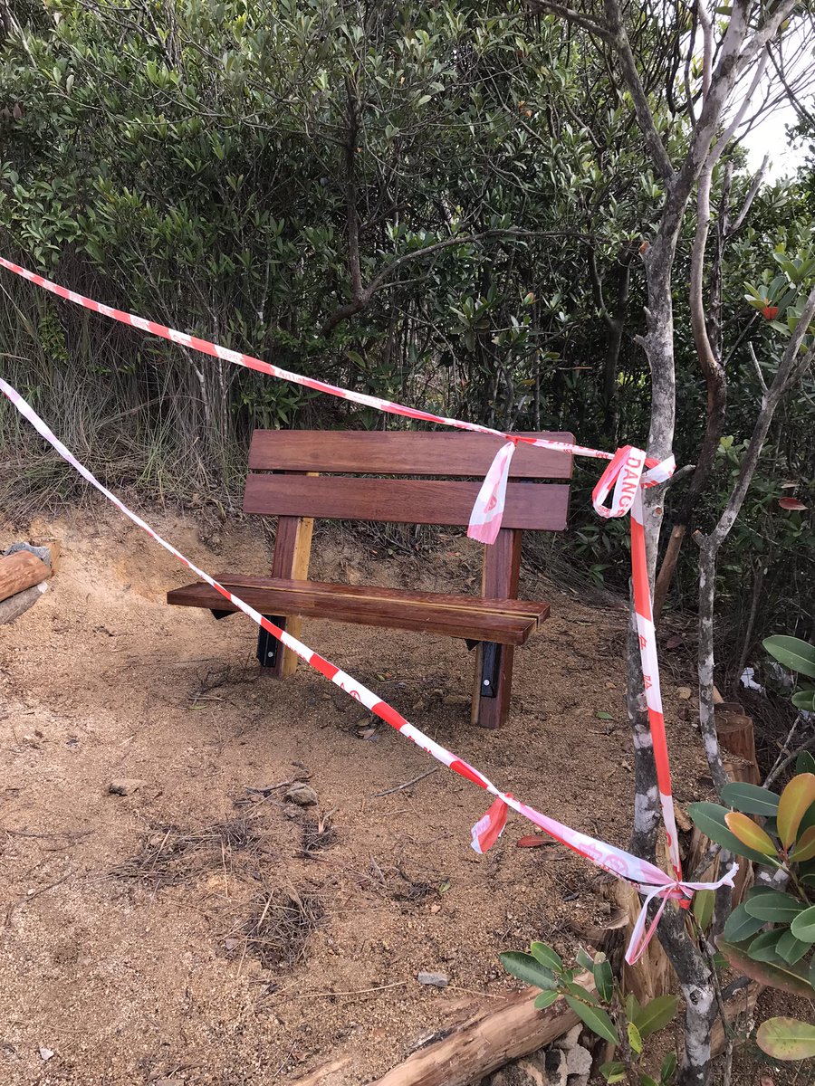 Tara Mulholland tweet media