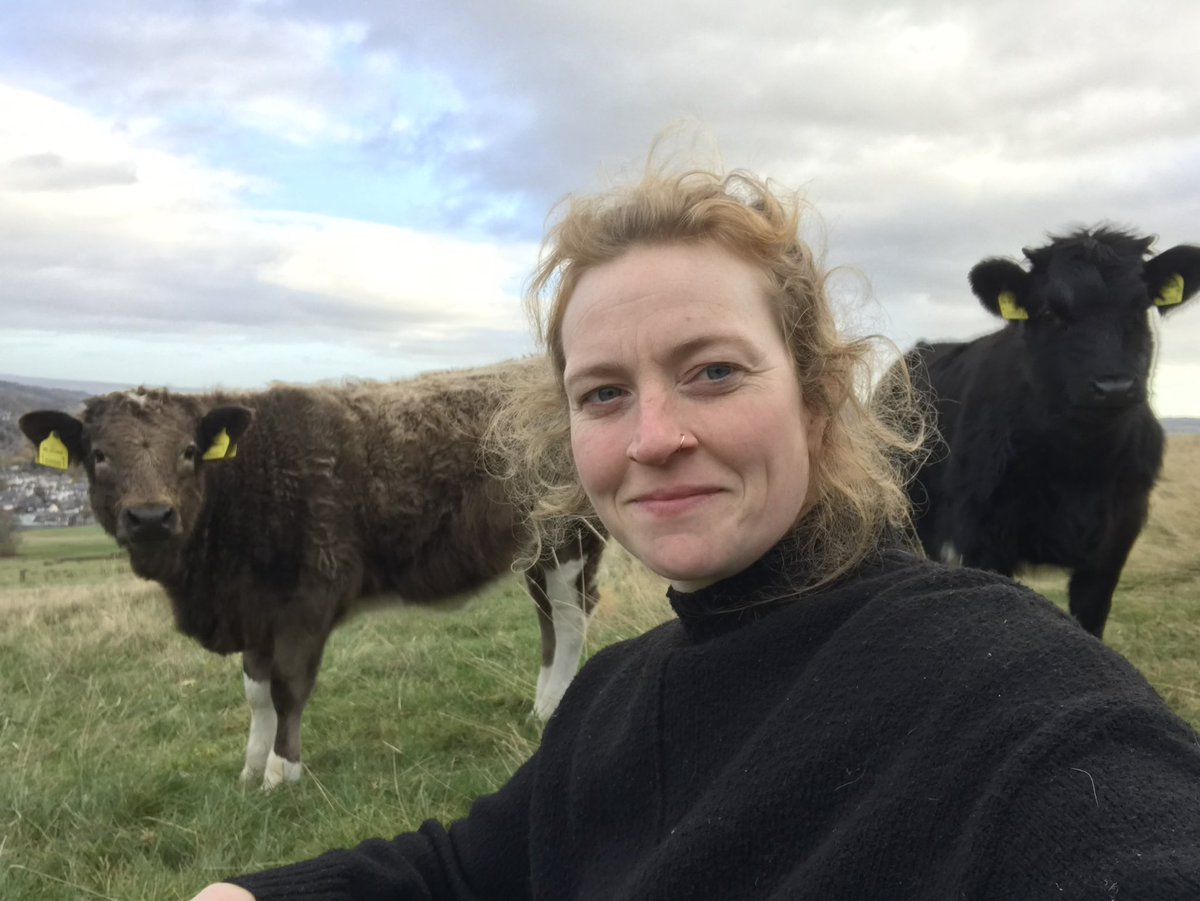 Howemill tweet media