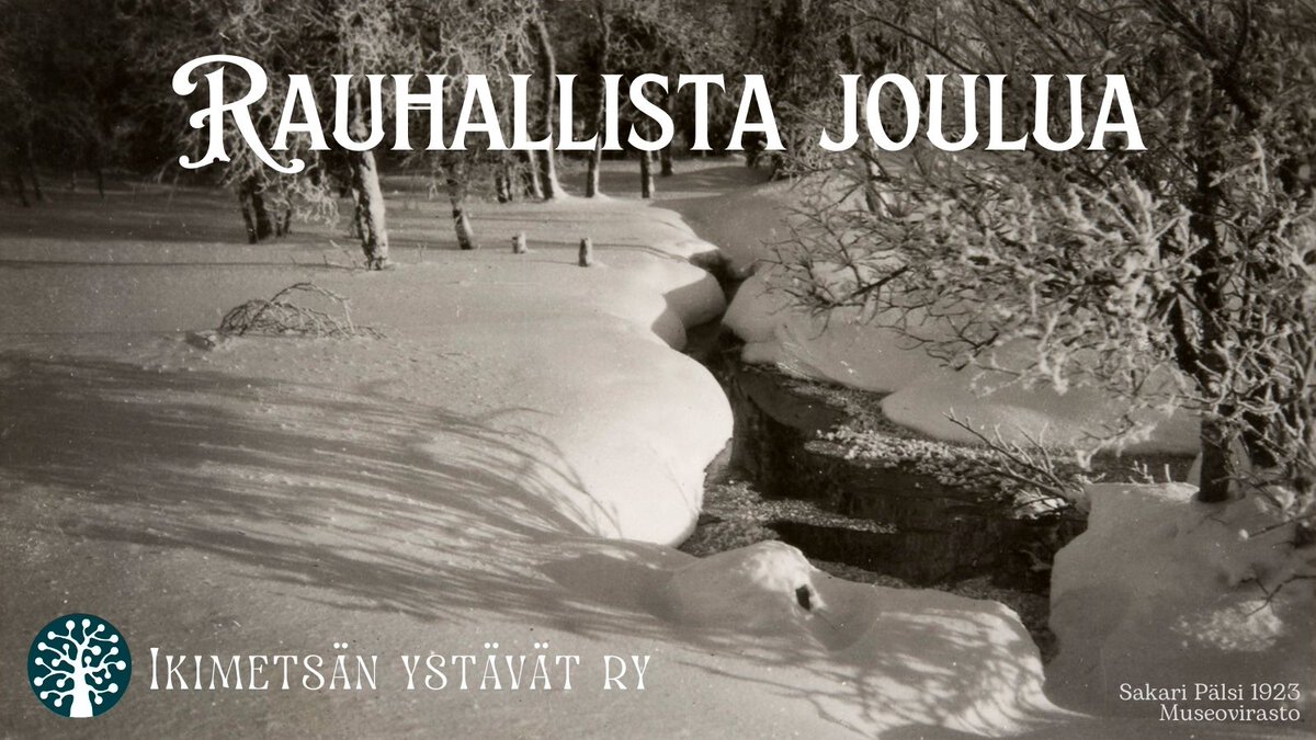 Rauhallista joulunaikaa 💚