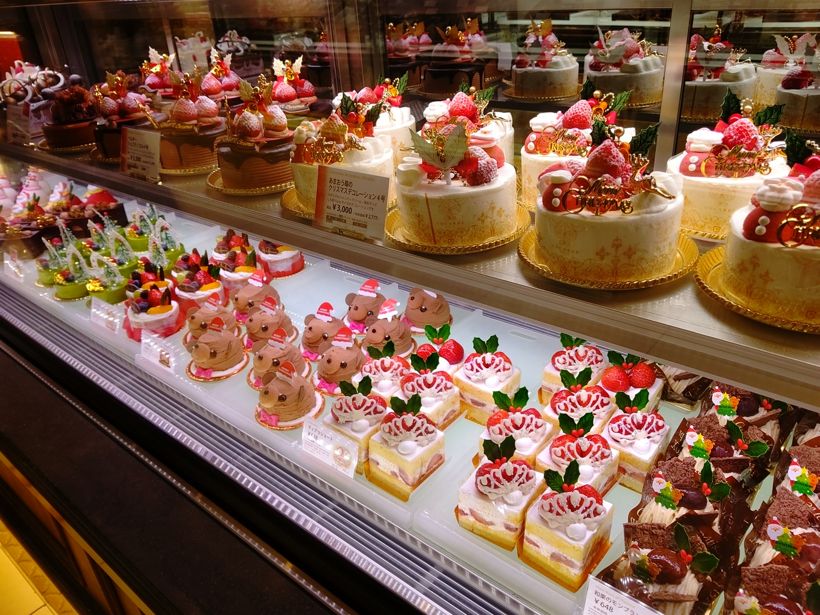 天満橋はちけんや部 また 12 24 金 25 土 は コカルド さんが シティモ 入口で クリスマスケーキ の販売をされますよ こちらも楽しみです 天満橋はちけんや部 k コカルド 京阪シティモール クリスマス 天満橋 T Co 天満橋はちけんや部 また 12 24 金 25 土 は コカルド さんが シティモ 入口で クリスマスケーキ の販売をされますよ こちらも楽しみです 天満橋はちけんや部 k コカルド 京阪シティモール クリスマス 天満橋 T Co