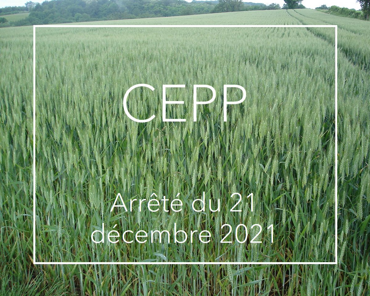 ecophytopic's tweet photo. Nouvel arrêté #CEPP https://t.co/7Mencj8X26 15 nouvelles actions et 22 actions modifiées avec des nouvelles références commerciales pour réduire l'utilisation des #pesticides. En vigueur le 24 décembre https://t.co/96jDsc8woR
