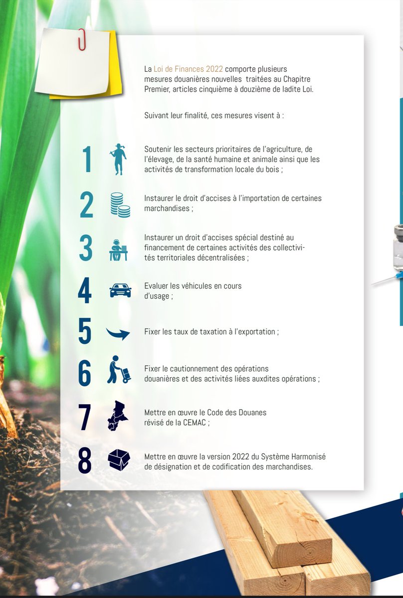 Cameroon Customs tweet media