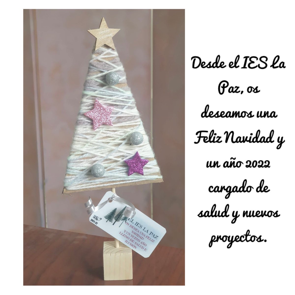 El #IESLaPazGranada os desea Feliz Navidad 🎄 y un nuevo año lleno de salud para todos, familias, alumnado , profesorado y PAS. También para todos los que trabajan en nuestra comunidad educativa. Qué un mundo mejor sea el objetivo de todos. 💗🌟💫✨