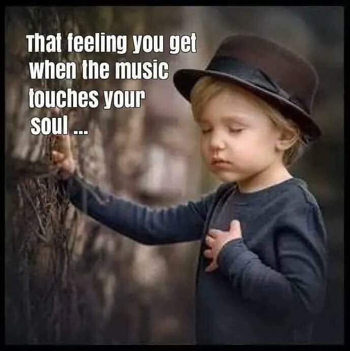 SoSoundSolution's tweet image. 