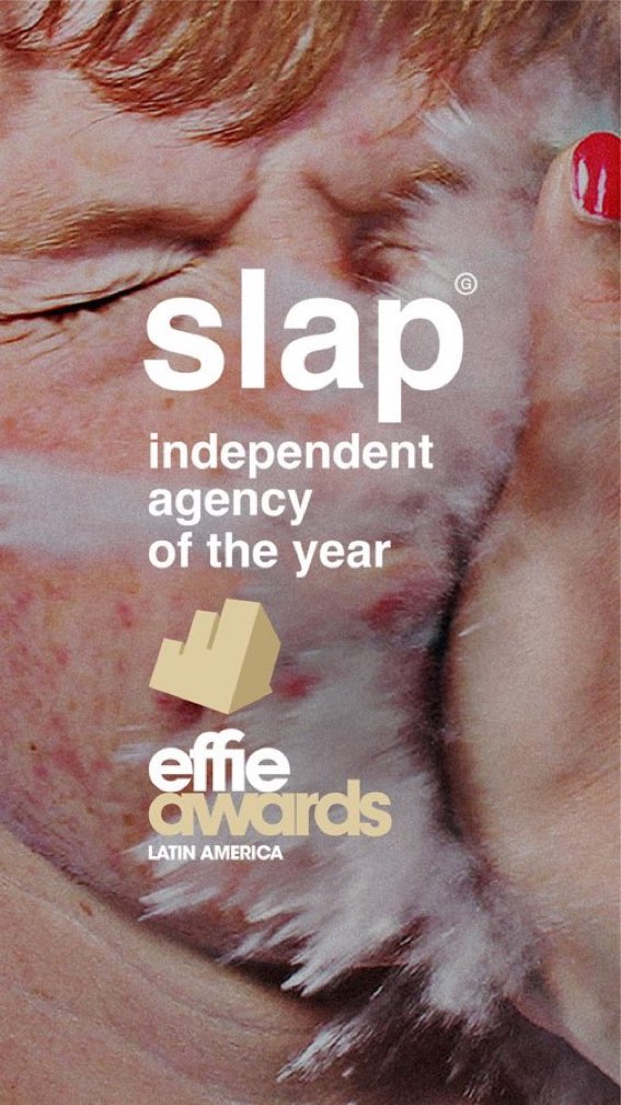 Slap Global tweet media