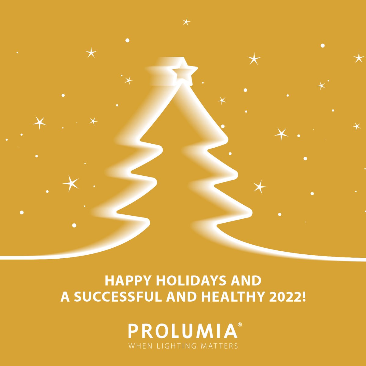 The holidays are just around the corner ✨
Team Prolumia wishes you...