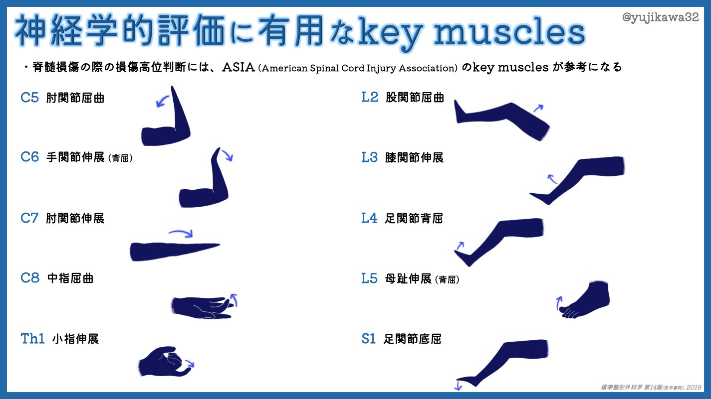 脊髄損傷 Twitter Search Twitter