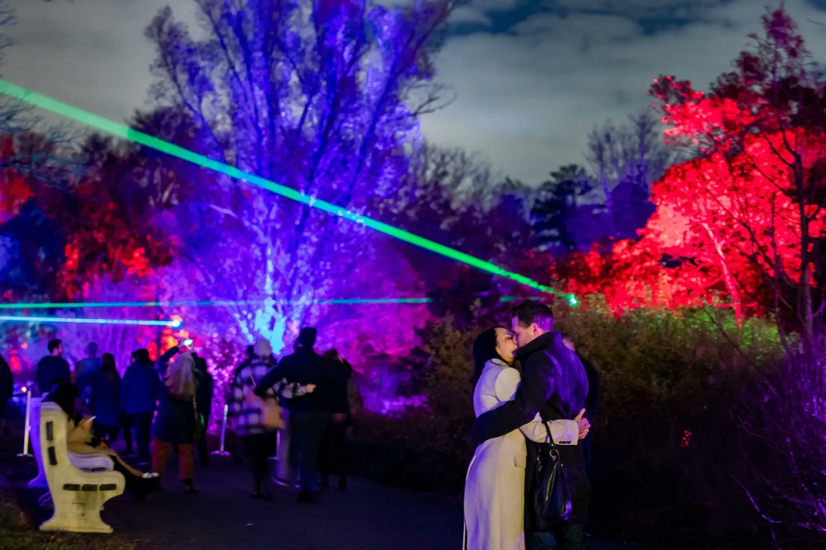 BrooklynBotanic's tweet photo. Looking for the perfect date night location? How about a magical evening under a million lights? Bring your special someone for an enchanting walk through the Garden after dark. 

Book a ticket at https://t.co/YYjxgLuTmY

#BBGLightscape https://t.co/fJsGEHyY5f