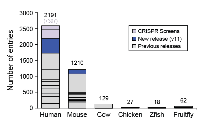 VastDB's tweet image. We have released a new batch of functional annotations (v11): 600 entries from previous publications investigating the function of AS events. This makes a total of 3637 entries directly from publications, 397 from CRISPR screens and 1511 from experimentally validated ELMs.