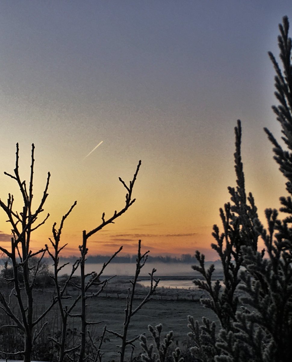 aglehm's tweet image. Zu Weihnachten Grüße von der Treeneschleife