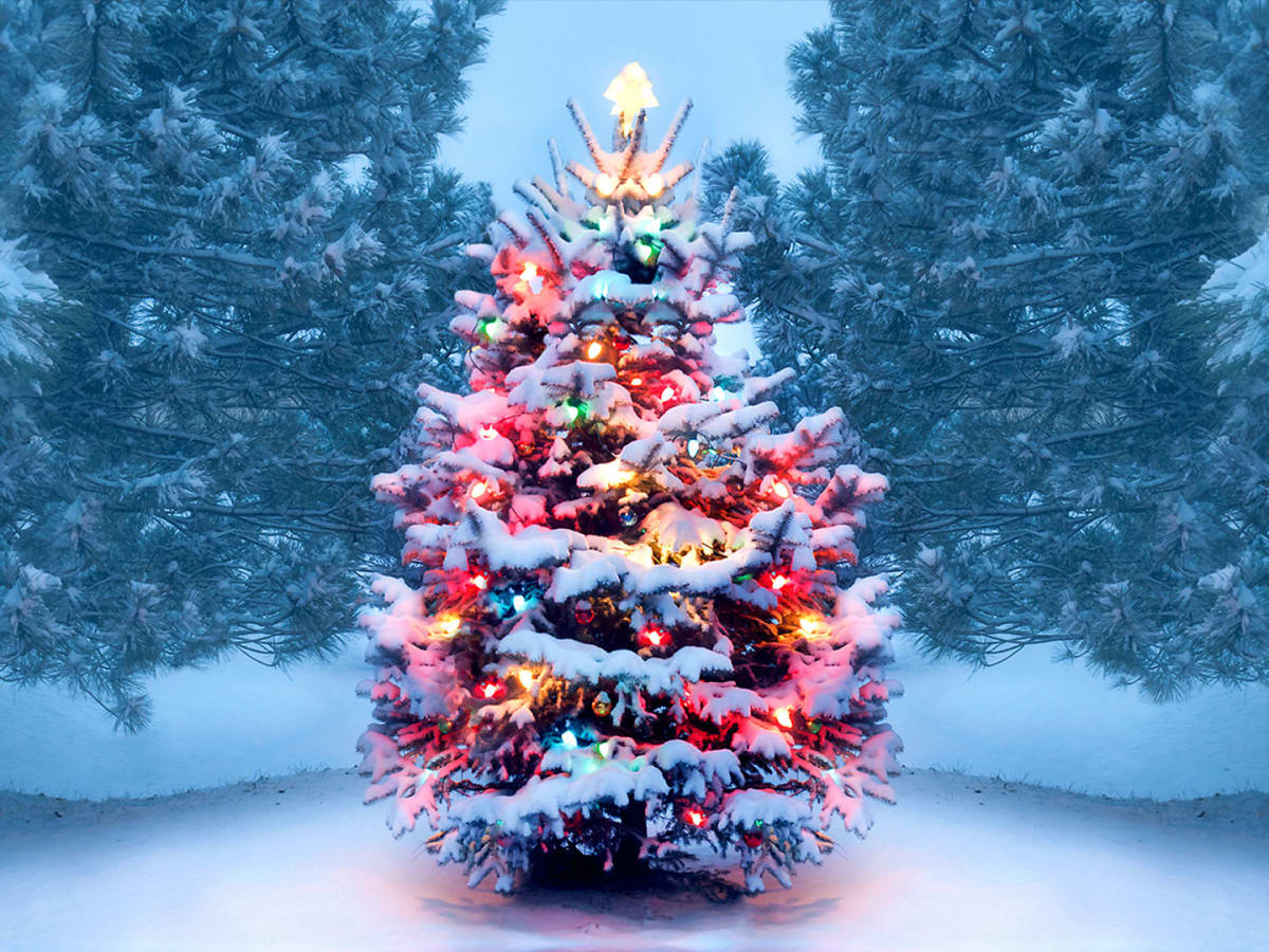 Sound Dev US tweet media