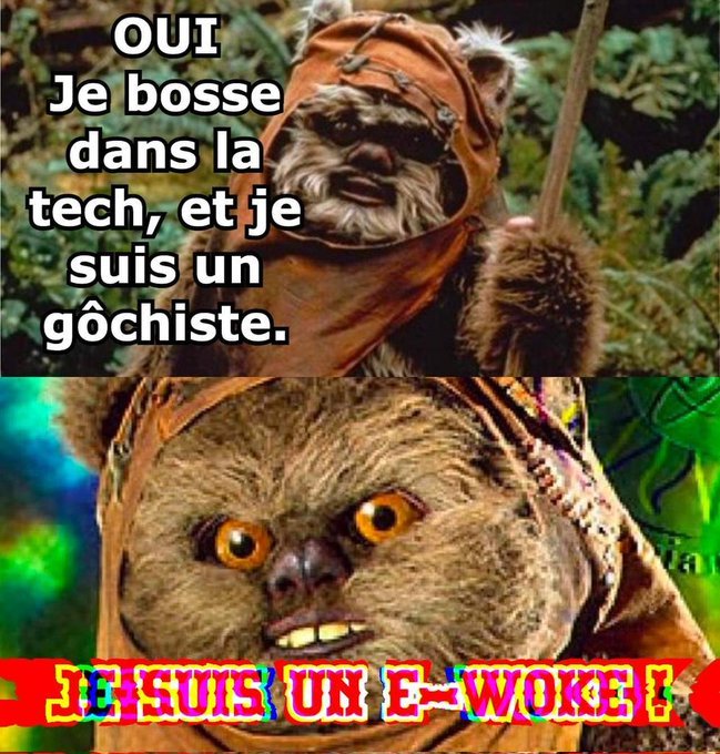 gaby_wald's tweet photo. #Tech #Woke #eWoke #Meme #Wokisme (?) ...
L'humour du moment ! https://t.co/3vJHVBznDt