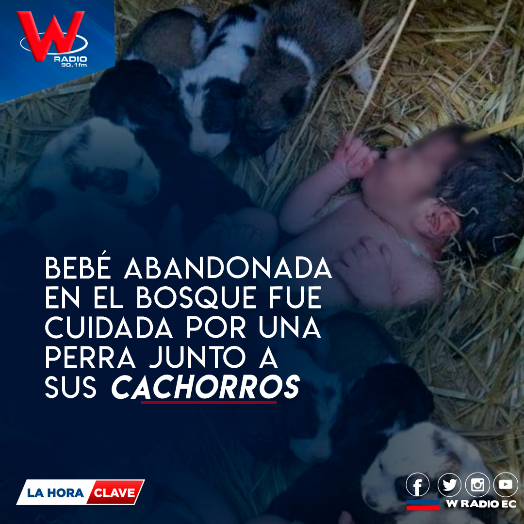 WRadioEc's tweet photo. #Atención| La historia de una bebé abandonada en medio del bosque en la India ha dado la vuelta al mundo. Ocurrió en el estado de Chhattisgarh, en la zona noreste del país asiático.👇
https://t.co/GbKsc0Fca7
#ComercioEc https://t.co/2PUPQqVkiW