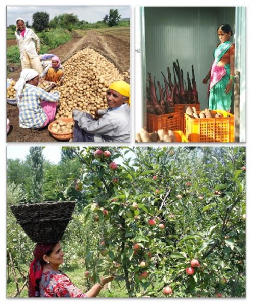 किसान दिवस के अवसर पर, हम अपने देश के किसानो की मेहनत और उद्यम का अभिवादन करते है.
#किसानदिवस

On Kisan Diwas, we celebrate the perseverance and enterprise of our farmers. 
#KisanDiwas