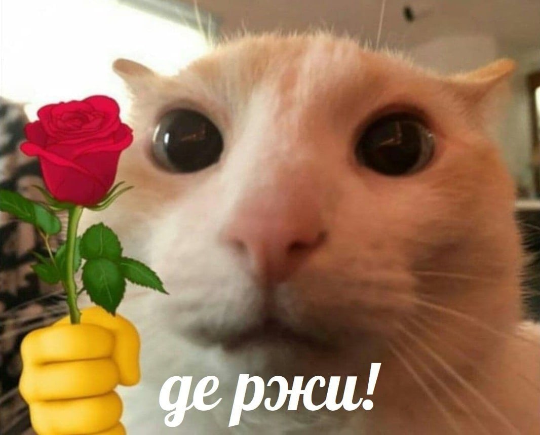 𝚛𝚊𝚟𝚎𝚗 𝚎𝚢𝚎💫 //рест (@asperitas_s) on Twitter photo 