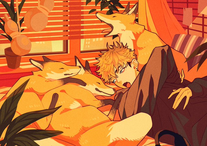 🦊🦊🦊 