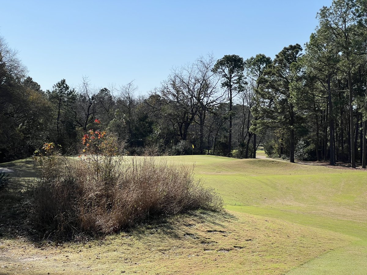 Jon_Heise's tweet photo. Pine Dunes in Dallas (ish) area. Ok it’s 2hrs east... Been trying to get out here for ten years. Mostly fantastic with really only two iffy holes. Has a Bandon Trails feel to it. #realsolid #texasgolf https://t.co/fGqDbsuTTH