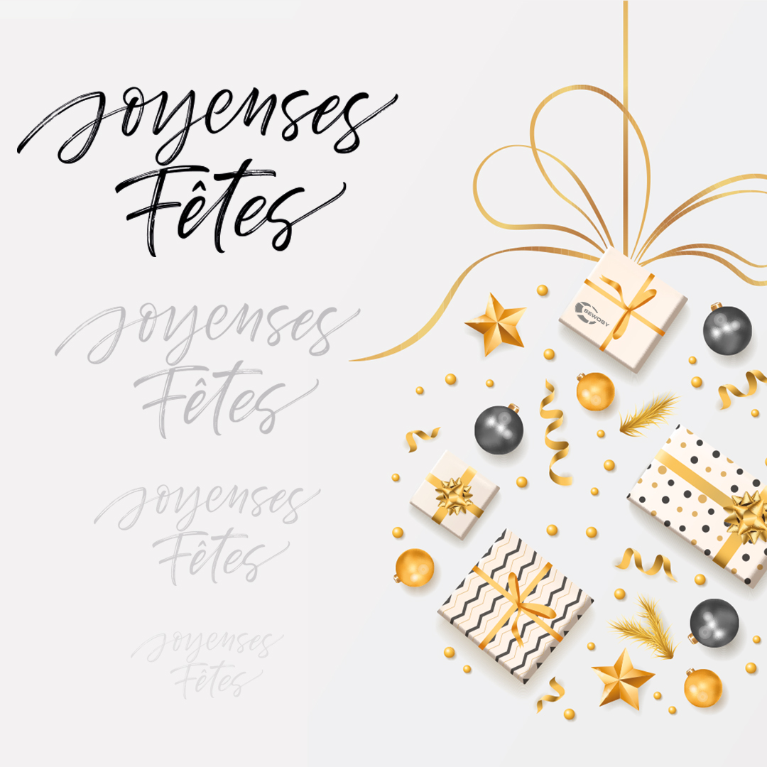 Toute l’équipe SEWOSY vous souhaite de joyeuses fêtes 🎇

L’entreprise sera fermée à partir du 24 décembre (inclus) et nous serons de retour le lundi 3 janvier 😀