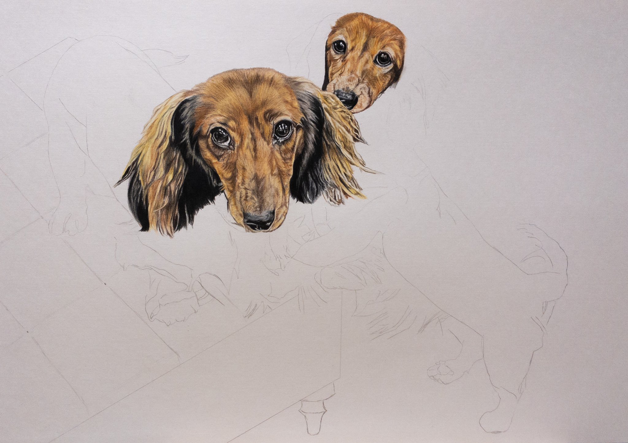 わん子 お顔 色鉛筆画 似顔絵 アナログ絵 ダックス ダックスフンド ミニチュアダックスフンド 犬 犬の絵 T Co 65tl49o0xf Twitter