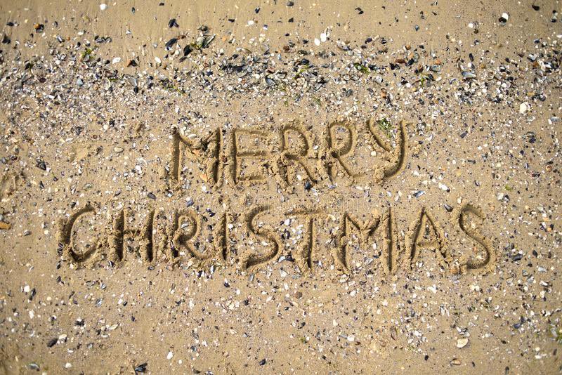 SouthendBeachCare tweet media