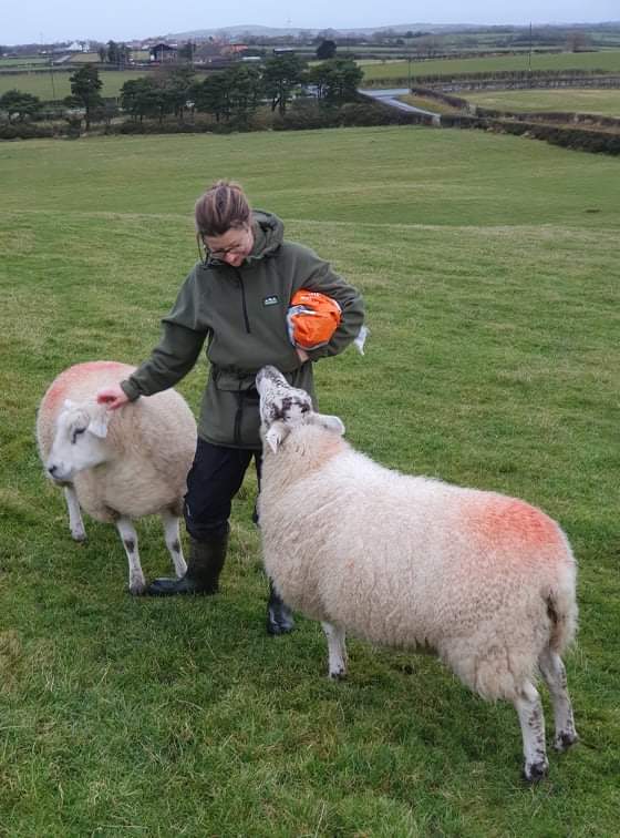 e_boocock's tweet photo. @howemill Farming a smallish flock here in the North York  Moors!! Love what I do 🤩 the animals don't mind me either 🤣 https://t.co/wq51dplAzY