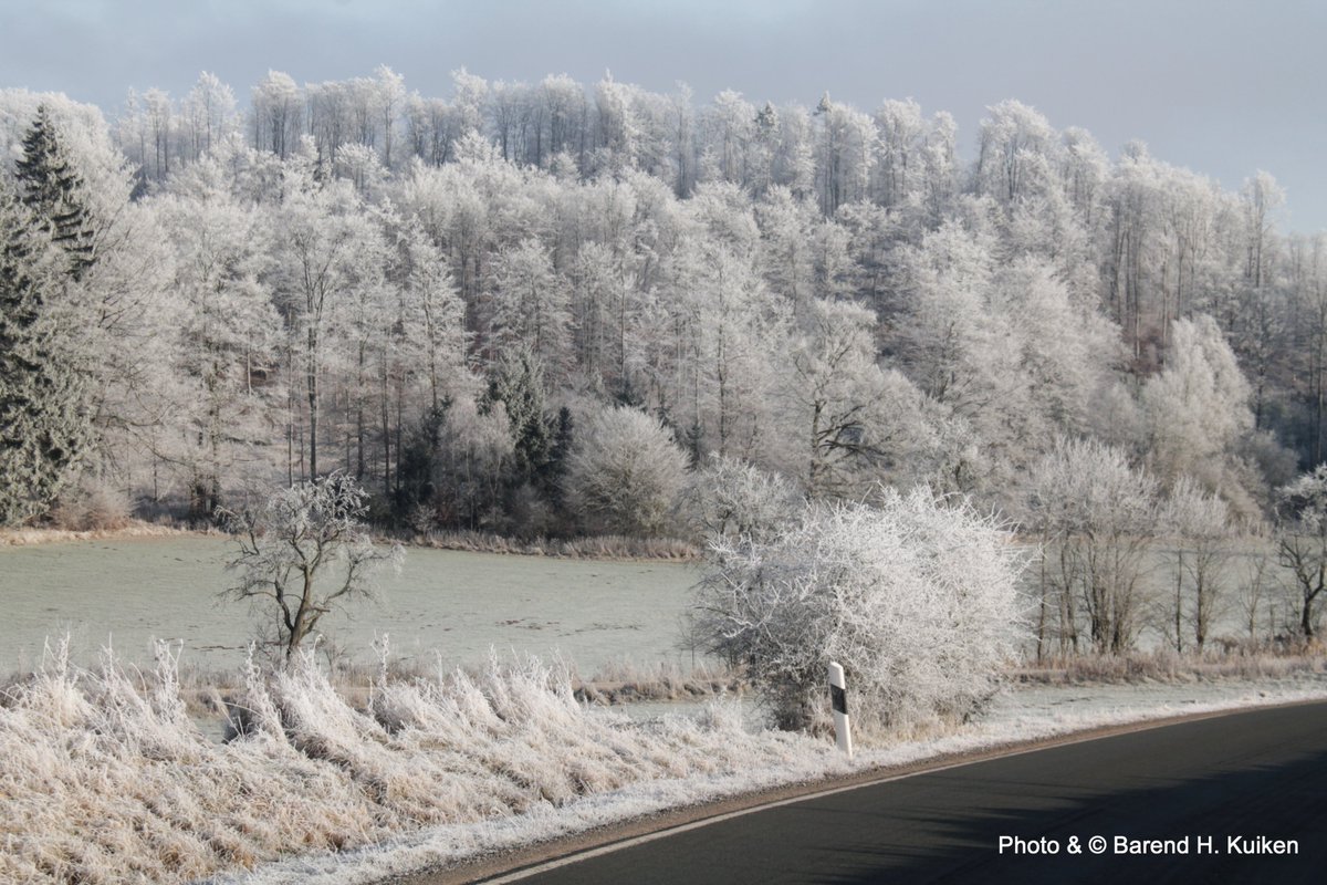 bhkuiken's tweet photo. Reif im Strother Forst bei 34497 Korbach am 22. Dezember 2021:

@Kachelmannwettr @Fabian_Ruhnau @Tornadoliste @WetterNordHE @Skywarn_DE 

#Wetter #Hessen https://t.co/itfSY9ICF7
