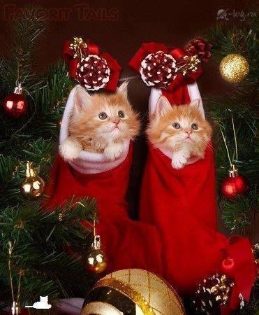 Daniella_C1804 tweet picture