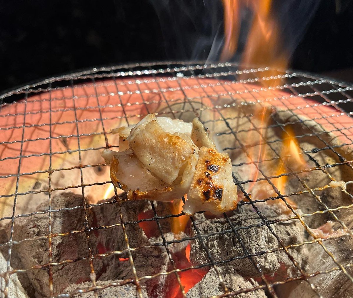 xhallje's tweet photo. 大村の大好きな塩ホルモン屋さんが、長崎市内にもオープン♪3日連続で行っても平気なくらい美味しい(°▽°)
もともとホルモンは得意じゃなかったんだけど、ここの食べたら変わると思うよ☆
夜は大黒町へGO!!!

#塩ホルモンろくめい大黒町店 #塩ホルモンろくめい #長崎グルメ #長崎ディナー #長崎ご飯 https://t.co/8EhpyTWbkJ