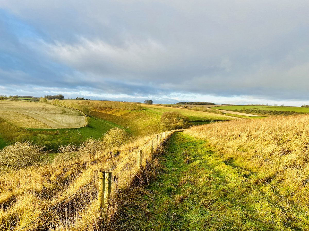 An Early Wander. 6°C with rain approaching. Red Kite up high.
