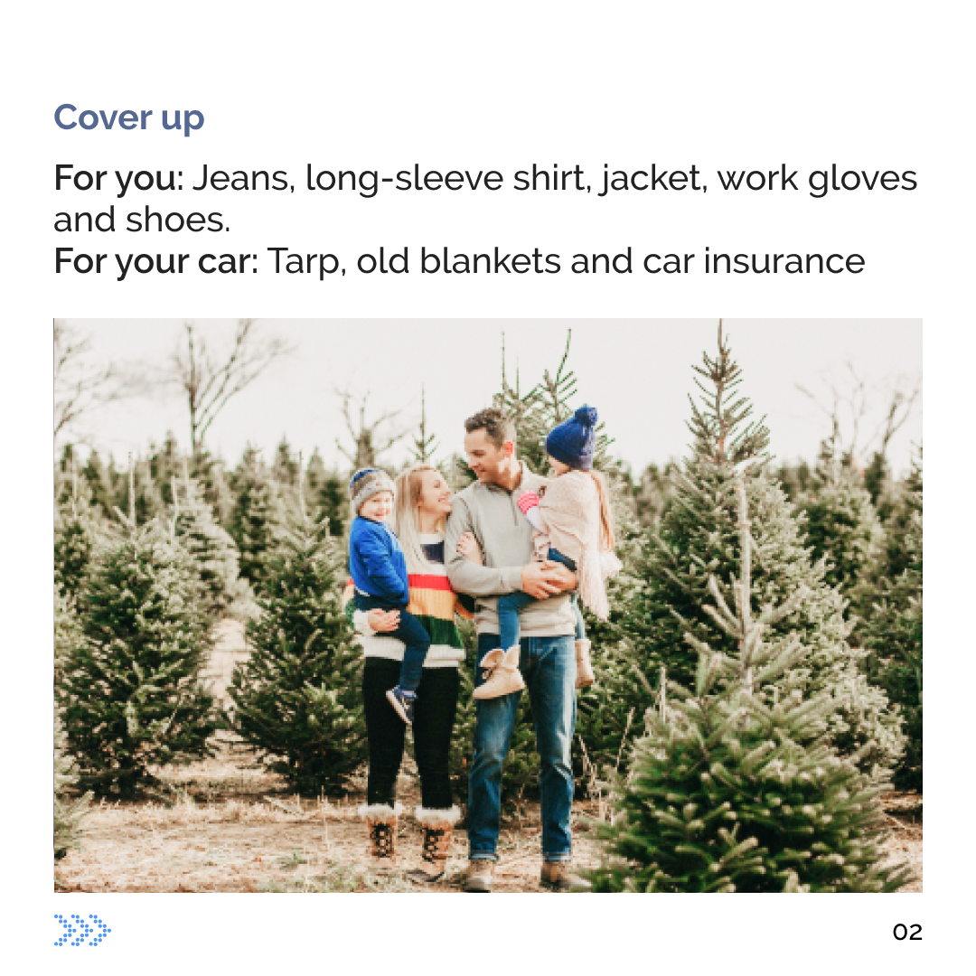 CarComparecom's tweet photo. Get your tree home safely with our quick tips. The countdown to Christmas has begun!
#car #carcompare #carinsurancequote #comparecarinsurance #carinsuranceuk #carinsurance #bestoptions #bestcover #christmastips #christmasseason #UKchristmas #christmastree #christmasmood https://t.co/6REP9umQUN