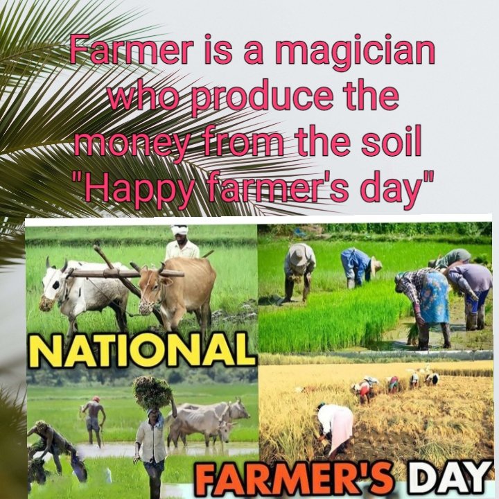 apasa433's tweet photo. Happy farmer's day https://t.co/lXSwFpL5Mr