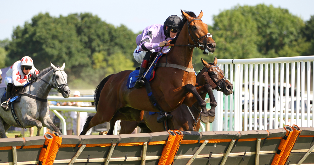 ownersgroupuk's tweet photo. #12racesofChristmas 5 - Chez Hans won his FIFTH consecutive race at Newton Abbot in August 2021. #ChezHans #Fivetimer #OwnersGroupMemories https://t.co/IkChrGCLbm