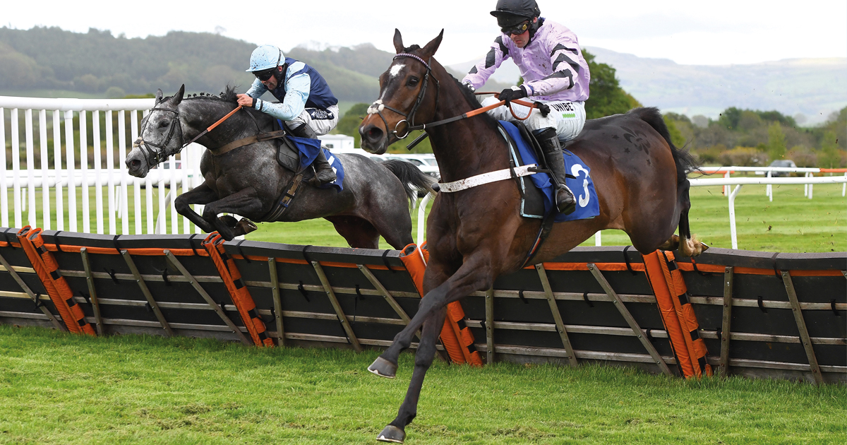 ownersgroupuk's tweet photo. #12racesofChristmas 9 - Hurling Magic won for his patient owners at Ludlow in May 2021. #HurlingMagic #Patiencepaidoff #OwnersGroupMemories https://t.co/4yyIXgUBTz