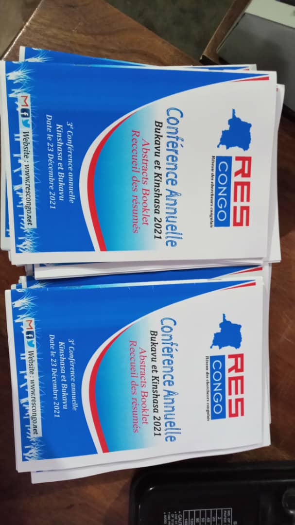 Décentralisation et construction de l’Etat : Contraintes institutionnelles de la décentralisation en RDC.