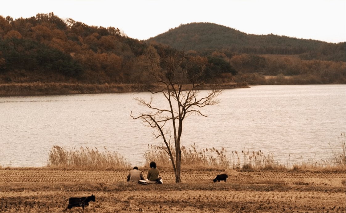 _sinesapiens_'s tweet image. Memories of Murder(살인의 추억), Bong Joon-ho, 2003