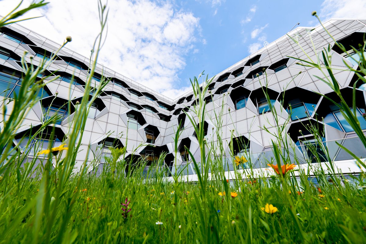 covcampus's tweet image. Our @covunigrounds team maintain the diverse range of landscapes, public realm spaces, wildlife habitats and sporting facilities across campus. This includes growing wild flowers and using horticultural green waste produce compost and mulching materials🌾

coventry.ac.uk/the-university…