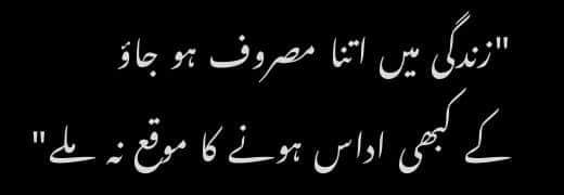 SyedaZohaNaqvi's tweet photo. Motivation🤭😍 https://t.co/cLeCiR4Xbt