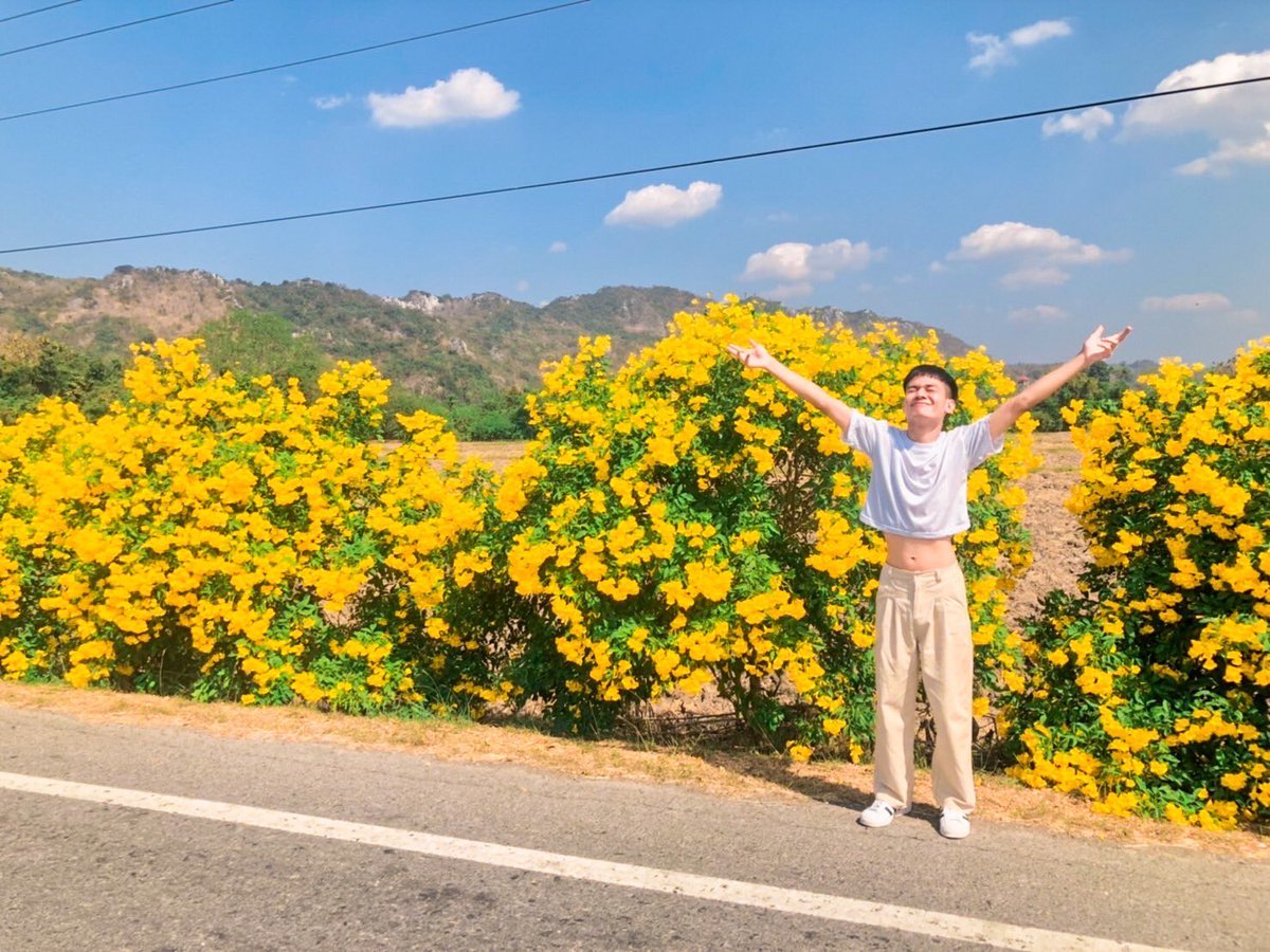 ฉันมีนามว่า ฮิโนกิ 🏳️‍🌈 tweet media