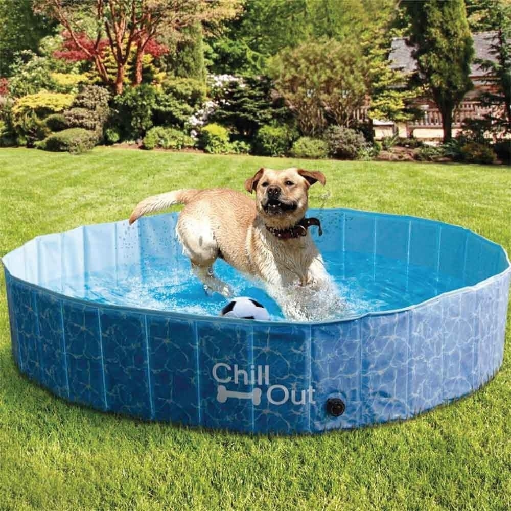 ozdingo_au's tweet photo. Rub-a-dub-dub, hot-Dog in the tub!⁠
⁠
Pool party fun for you pup to keep cool these summer months. Available in three sizes for any size doggo, your fluffy friend will thank you for this one!⁠
⁠
Check out the Chill Out Range to keep your pet cool thi… https://t.co/SLcQqn2zzO https://t.co/6Th2rEbiEZ