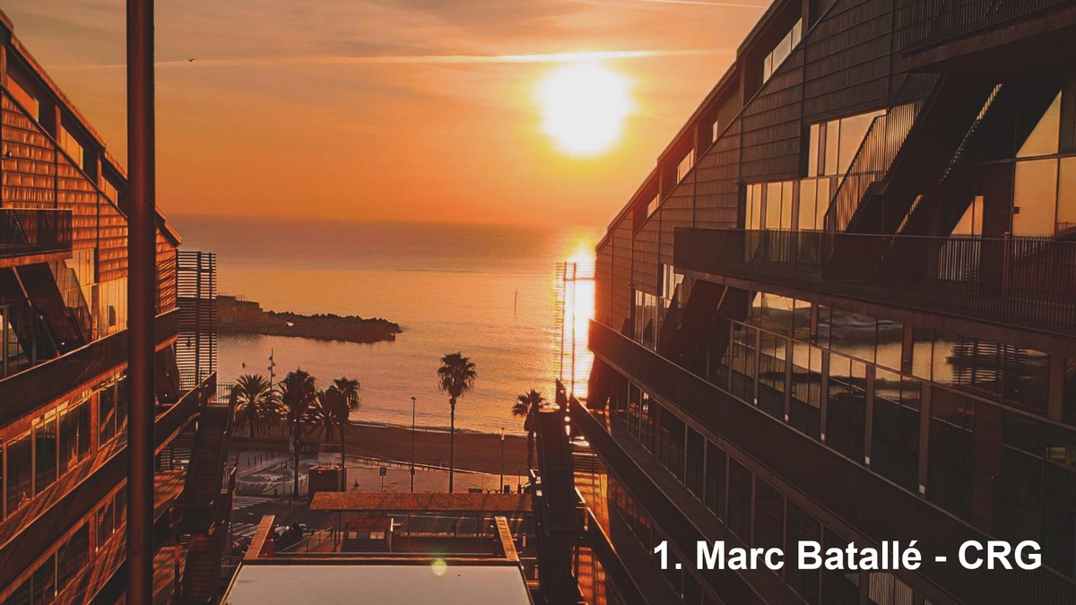 the_prbb's tweet photo. 📆 2021 has brought great sunrises and sunsets from the #PRBB 

Thank You @MarcBataller4, Neus Martínez, Miguel Galindo and Luís Galán for capturing the moment! 😍📸

cc @IMIM_research @CRGenomica @IBE_Barcelona @UPFbiomed @EMBLBarcelona @ISGLOBALorg https://t.co/GCTtId3L97
