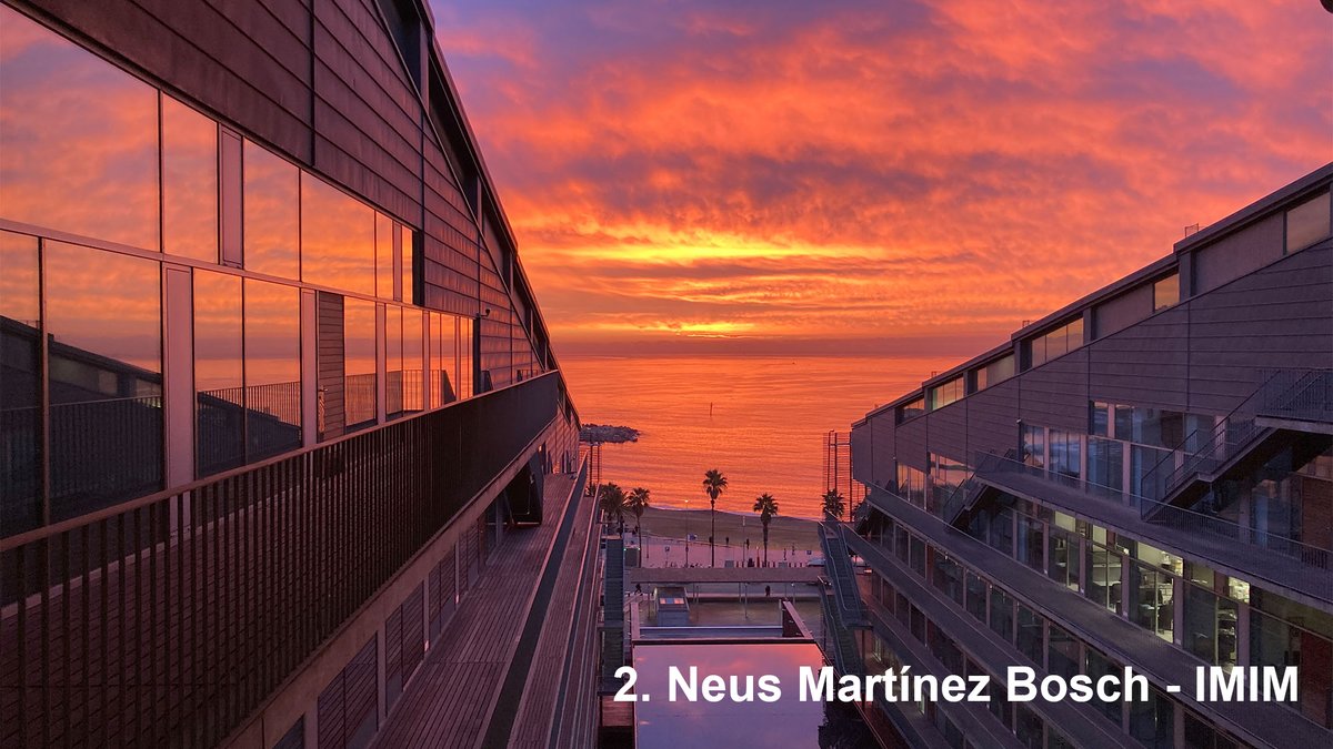 the_prbb's tweet photo. 📆 2021 has brought great sunrises and sunsets from the #PRBB 

Thank You @MarcBataller4, Neus Martínez, Miguel Galindo and Luís Galán for capturing the moment! 😍📸

cc @IMIM_research @CRGenomica @IBE_Barcelona @UPFbiomed @EMBLBarcelona @ISGLOBALorg https://t.co/GCTtId3L97
