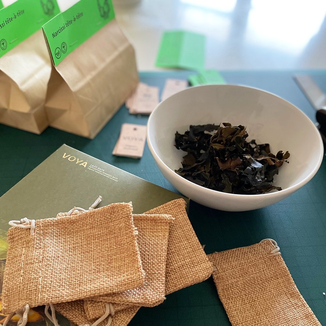 tsl creative tweet media