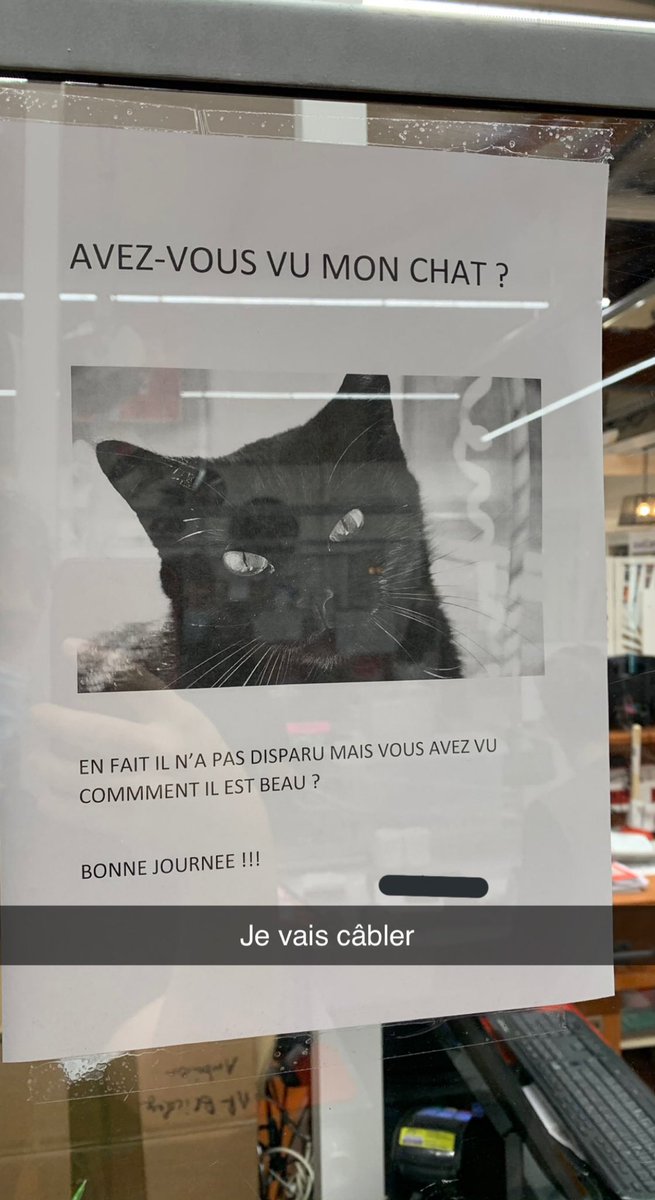 IDIOTS DU VILLAGE (@_idvl) on Twitter photo 