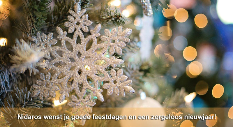 Tegen het einde van het jaar vinden er traditioneel gezien vaak veel transacties plaats. 
De robot van Nidaros heeft geen vakantie en blijft, ook tijdens de feestdagen, actief met het verwerken van grote hoeveelheden data.
#Nidaros #RPA
