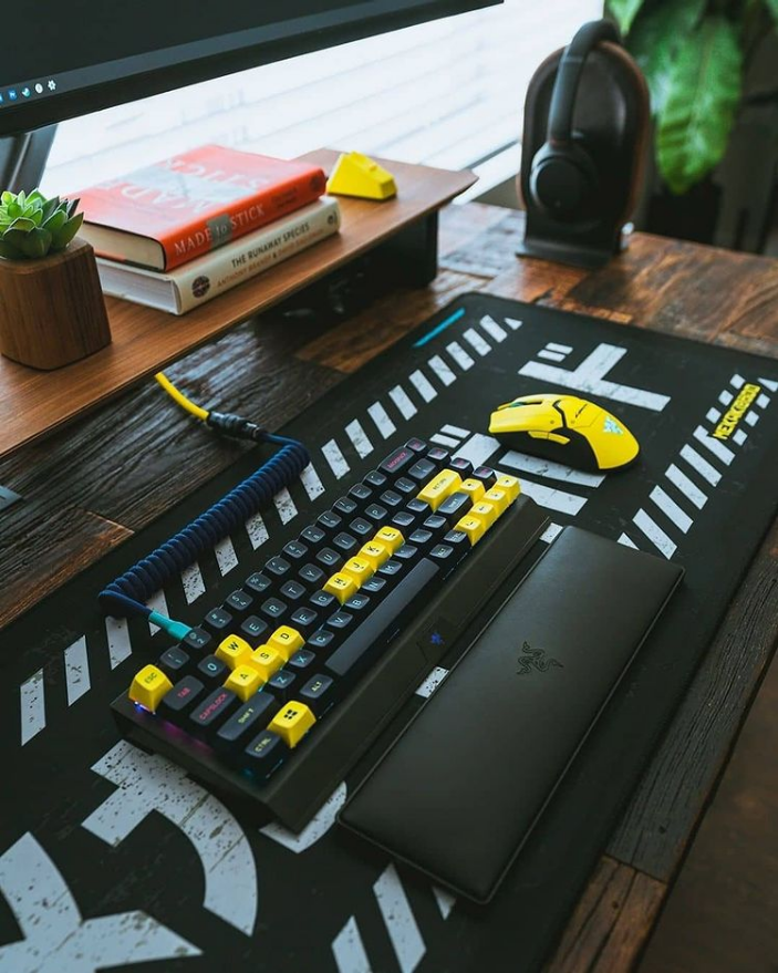 RazerGermany's tweet photo. Black &amp; Yellow - ja oder nein?👀 https://t.co/81v8MxLAr7