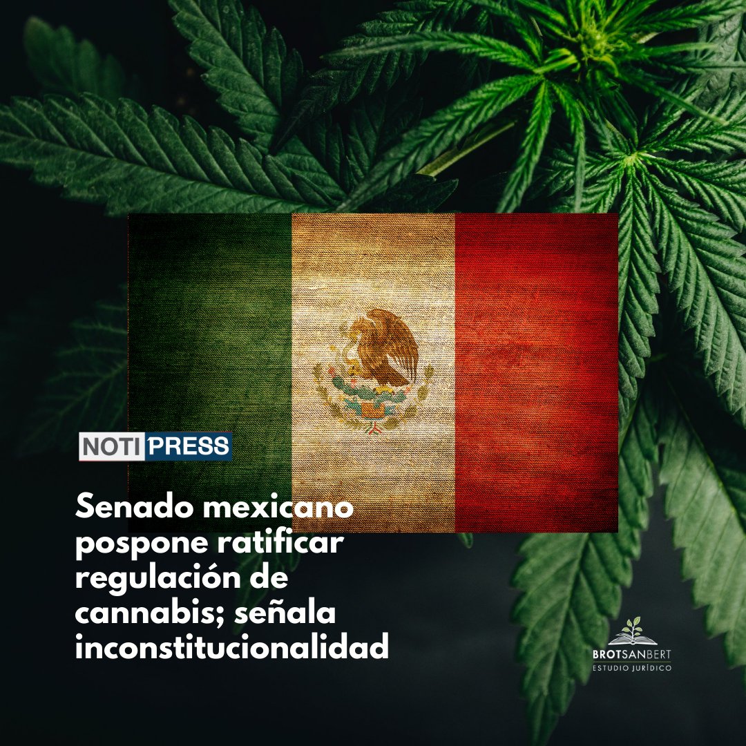 BROTSANBERT's tweet photo. El @senadomexicano vuelve a posponer la ratificación de la Ley Federal para la Regulación del #Cannabis (#LFRC) hasta el 31 de enero de 2022 por inconsistencias y contradicciones como nombrar @CONADICmx órgano rector del Instituto #Mexicano de Cannabis.
➡️ https://t.co/EAJTCjsWTy https://t.co/UD2NuYaA3G