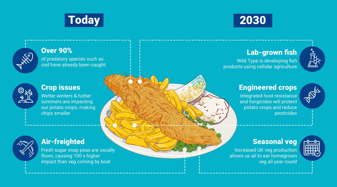 UKRI_News's tweet photo. A sustainable diet should contribute positively toward society whilst helping nature recover from human consumption demands.
Our graphic shared by @CamCleantech illustrates how our favourite dishes could be changed by the climate crisisπ
https://t.co/EcMjIy7jlk
#NetZeroEating https://t.co/HsFsEbhb6L