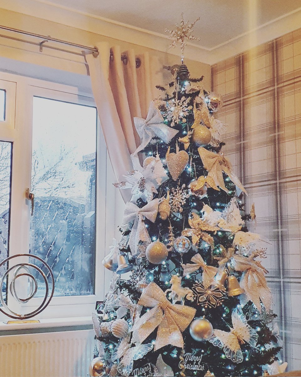 It's Christmas Eve Eve 🎄🎄