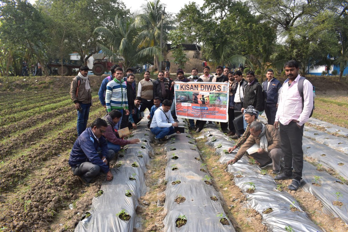WbcadcB's tweet photo. Celebration of Kisan Diwas at KVK Bankura. 
#JaiJawanJaiKisan @WBCACKVKBankura https://t.co/apMM7TTa2m